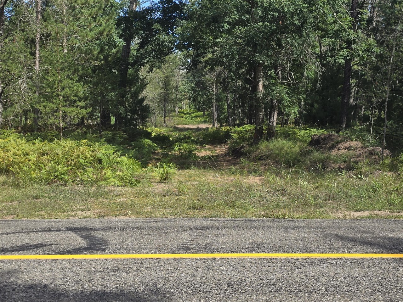 Homes for sale in Irons, MI | 00 W 4 Mile Rd, Irons, MI 49644 | MLS# 70490977