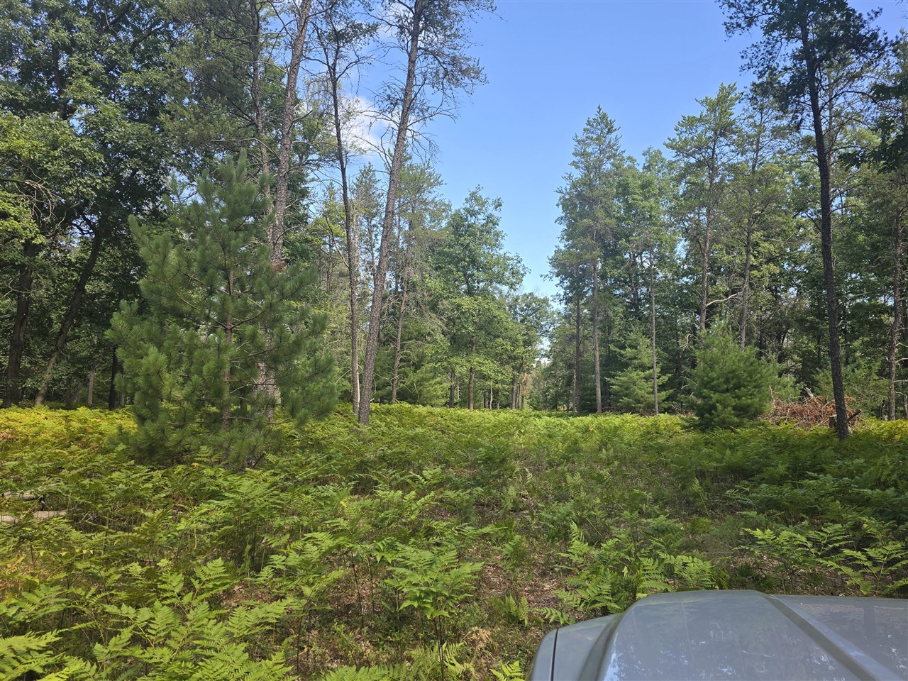 Homes for sale in Irons, MI | 00 W 4 Mile Rd, Irons, MI 49644 | MLS# 70490977