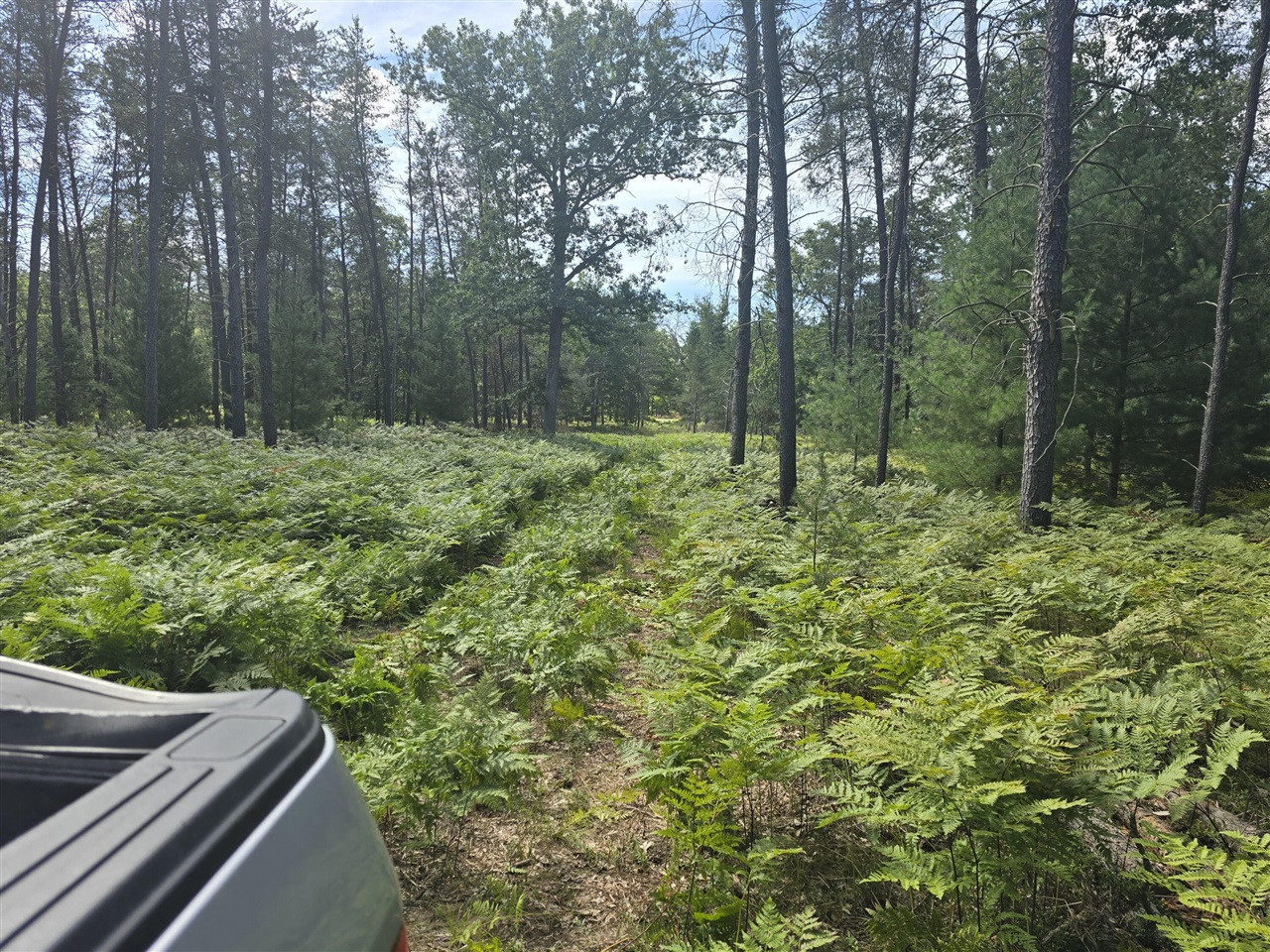 Homes for sale in Irons, MI | 00 W 4 Mile Rd, Irons, MI 49644 | MLS# 70490977