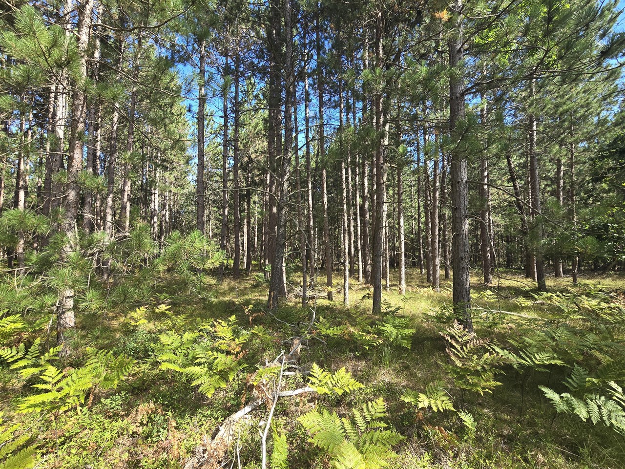 Homes for sale in Irons, MI | 00 W 4 Mile Rd, Irons, MI 49644 | MLS# 70490977