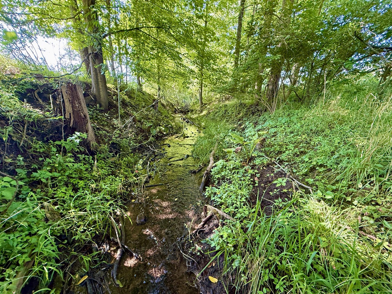 Homes for sale in Manitou Beach, MI | 8788 Parker Hwy, Manitou Beach, MI 49253 | MLS# 70491064