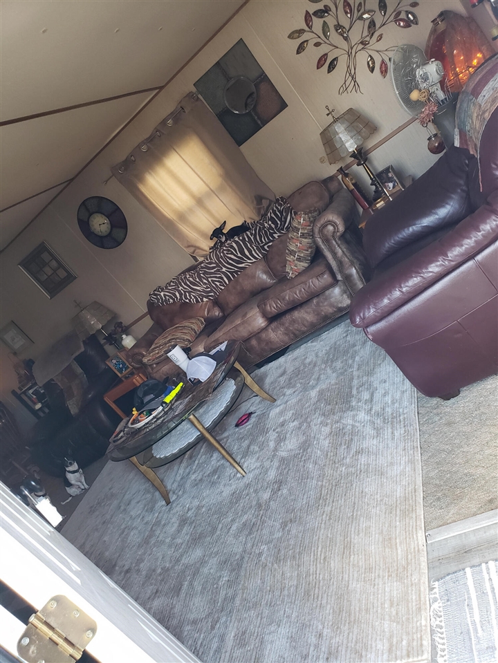 Homes for sale in Sparta, MI | 8779 Country View Dr, Sparta, MI 49345 | MLS# 70491173