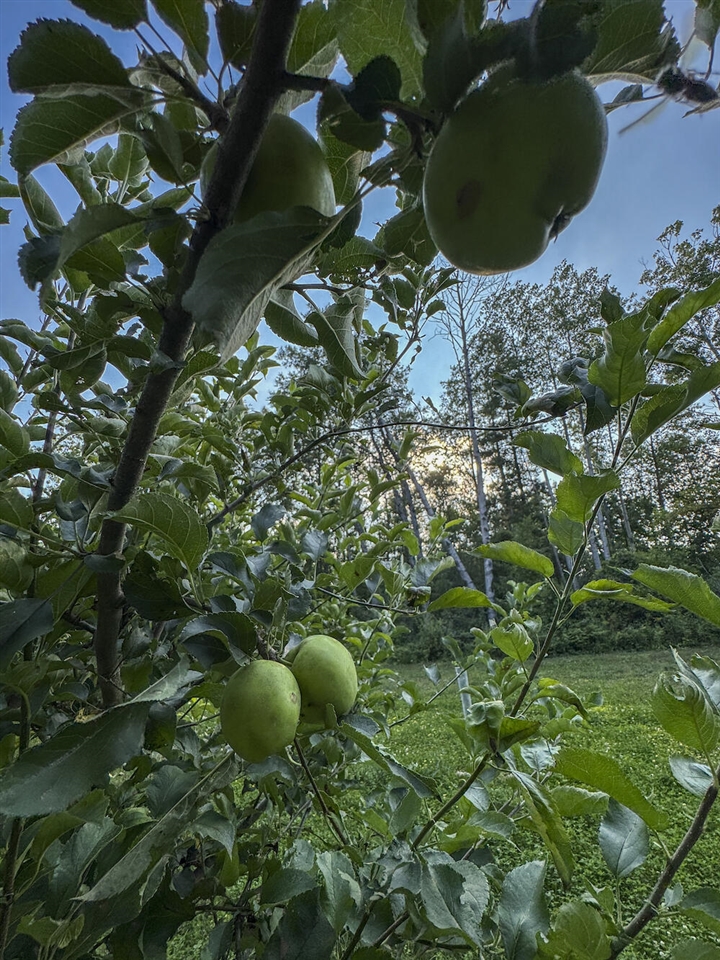 Homes for sale in Hale, MI | 1609 S Sage Lake Rd, Hale, MI 48739 | MLS# 70491367