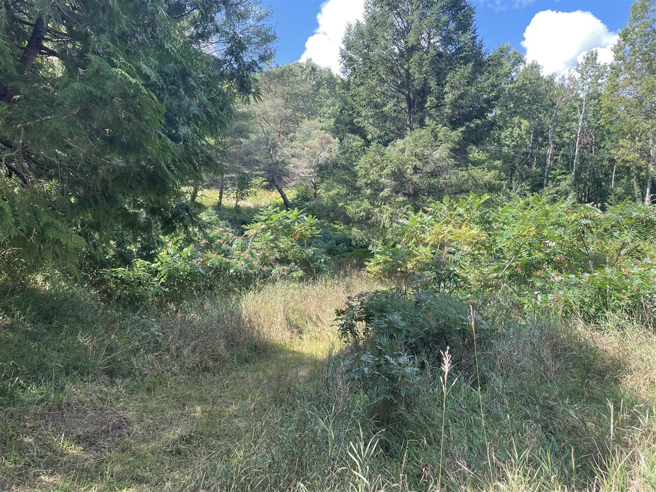 Homes for sale in New Era, MI | 4623 S Seymour Dr, New Era, MI 49446 | MLS# 70491950