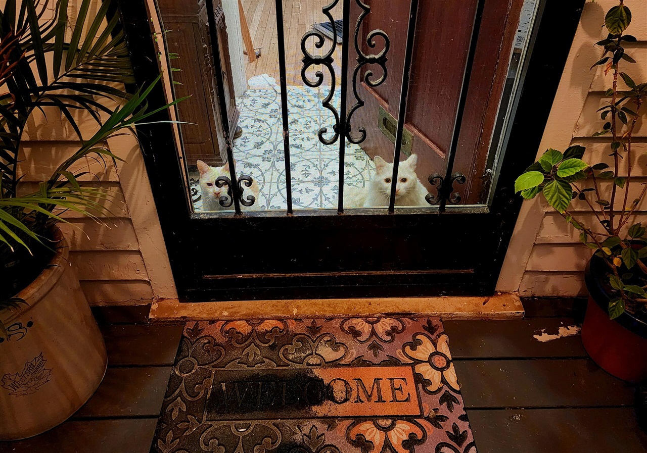 Homes for sale in Detroit, MI | 877 Burlingame St, Detroit, MI 48202 | MLS# 70492331