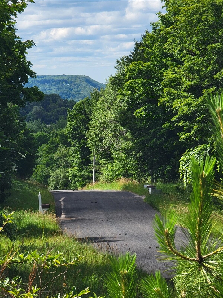 Homes for sale in Arcadia, MI | Maxey Rd, Arcadia, MI 49613 | MLS# 70492384