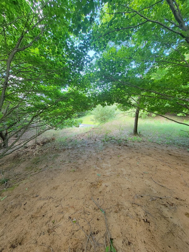 Homes for sale in Arcadia, MI | Maxey Rd, Arcadia, MI 49613 | MLS# 70492384