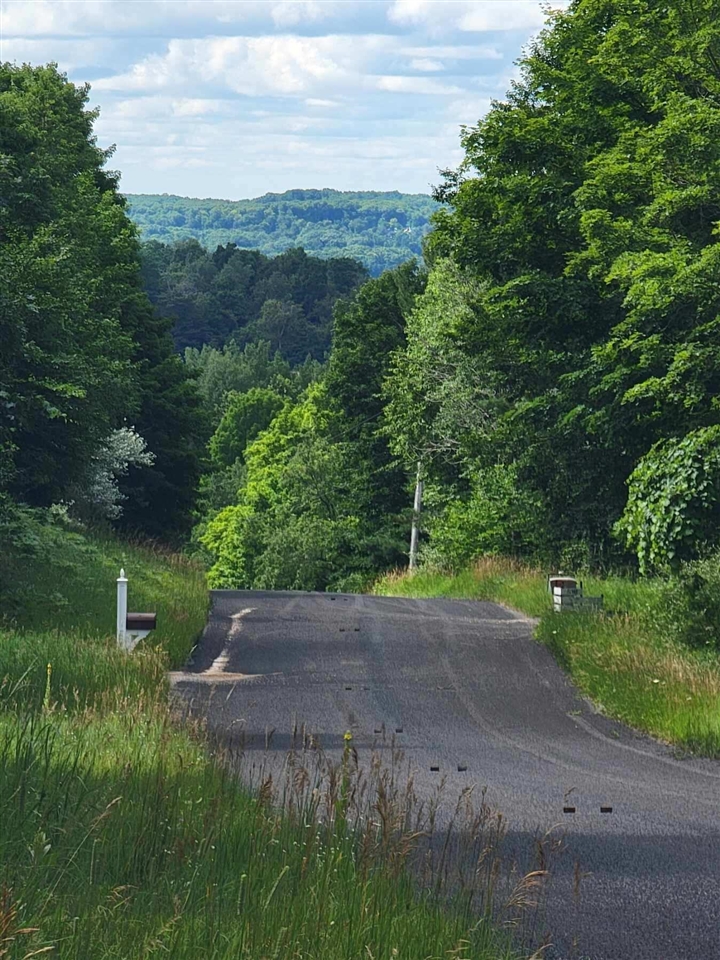 Homes for sale in Arcadia, MI | Maxey Rd, Arcadia, MI 49613 | MLS# 70492384