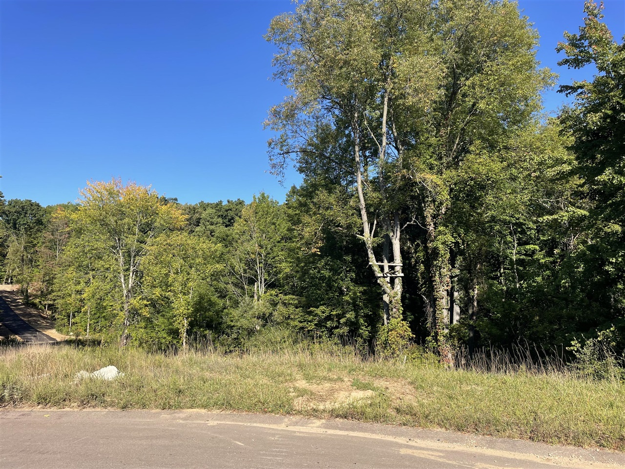 Homes for sale in Plainwell, MI | 3041 Elk Antler Ave, Plainwell, MI 49080 | MLS# 70492633