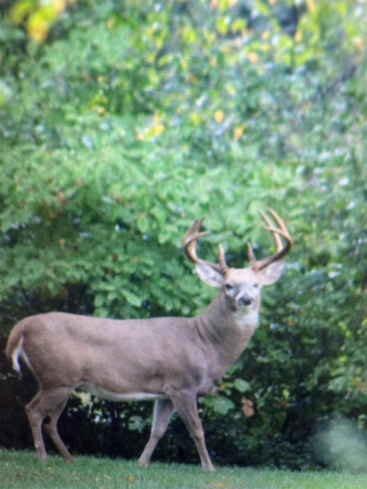 Homes for sale in Plainwell, MI | 3041 Elk Antler Ave, Plainwell, MI 49080 | MLS# 70492633