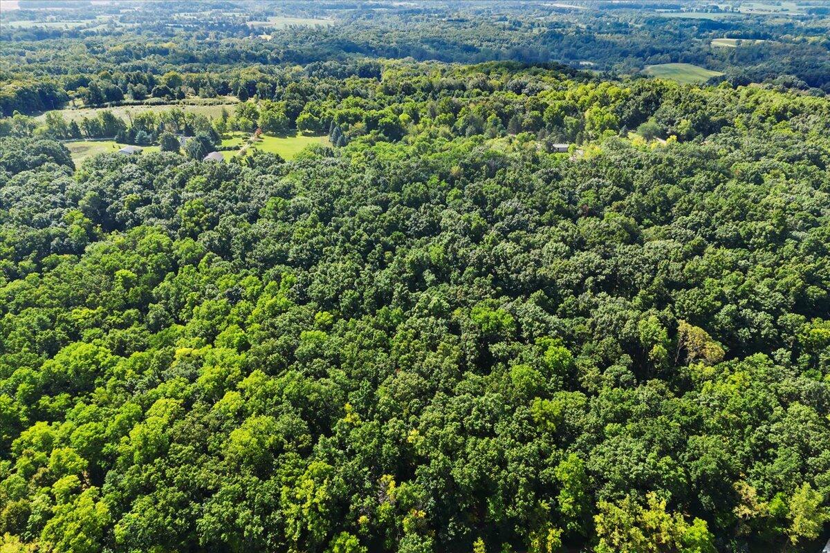 Homes for sale in Manchester, MI | 19200 Stonefield Dr, Manchester, MI 48158 | MLS# 70492634