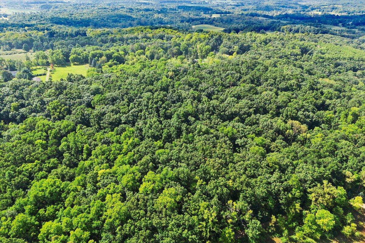 Homes for sale in Manchester, MI | 19200 Stonefield Dr, Manchester, MI 48158 | MLS# 70492634