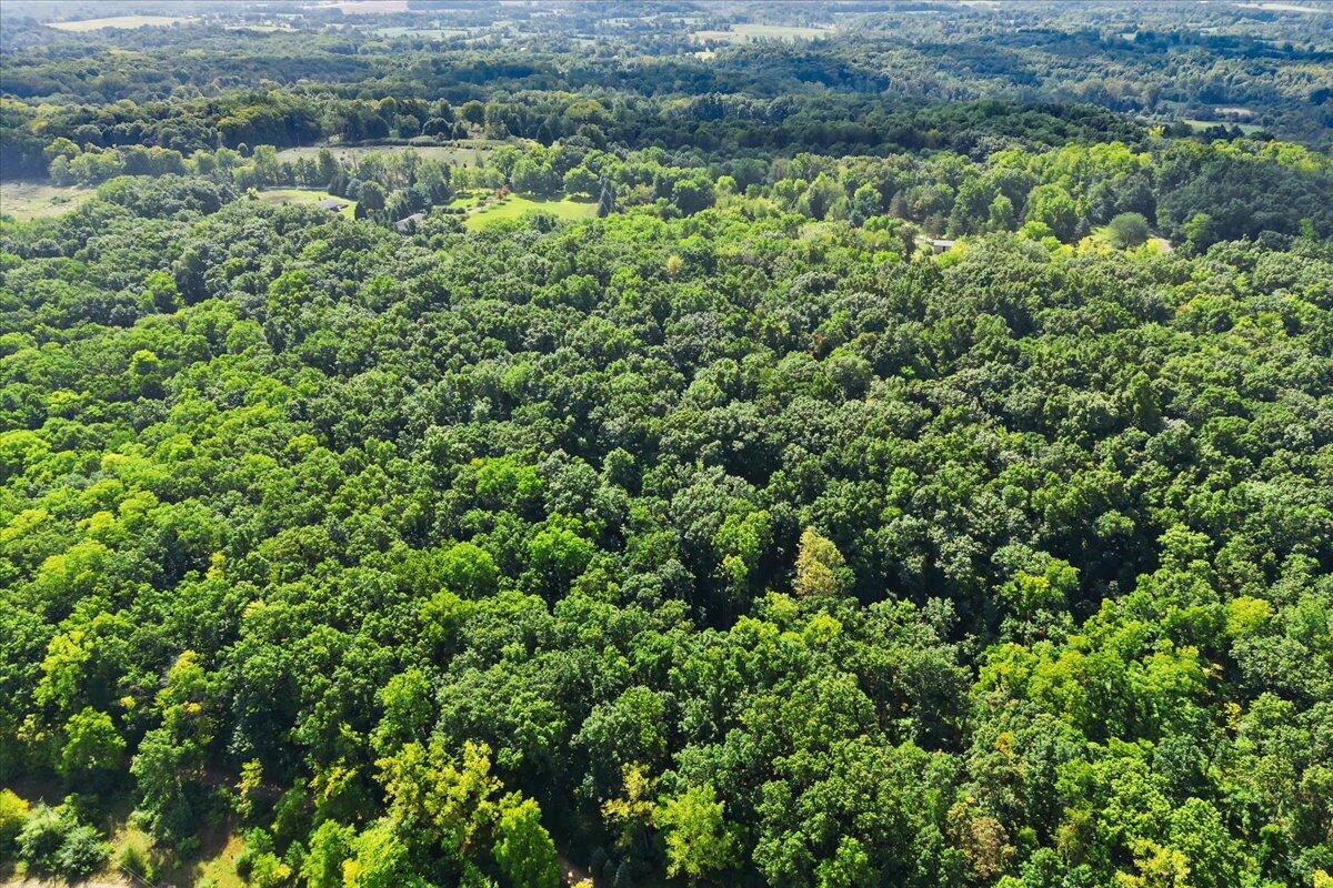 Homes for sale in Manchester, MI | 19200 Stonefield Dr, Manchester, MI 48158 | MLS# 70492634