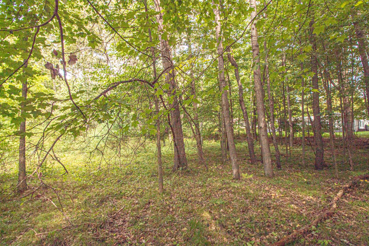 Homes for sale in Canadian Lakes, MI | 7574 9Th St, Canadian Lakes, MI 49346 | MLS# 70492668