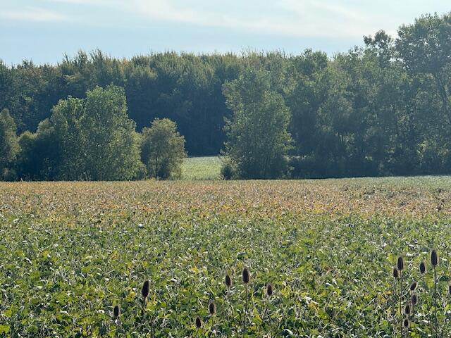 Homes for sale in Three Oaks, MI | 7200 Us 12, Three Oaks, MI 49128 | MLS# 70492797