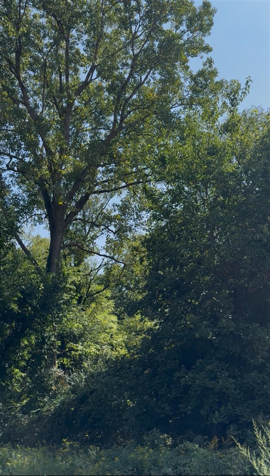 Homes for sale in Brooklyn, MI | 0 Ernest St, Brooklyn, MI 49230 | MLS# 70492895