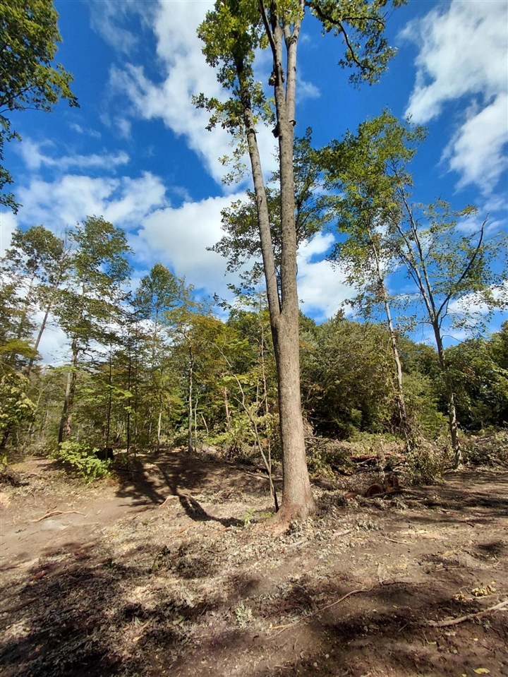 Homes for sale in Vicksburg, MI | 9437 E U V Ave, Vicksburg, MI 49097 | MLS# 70493118