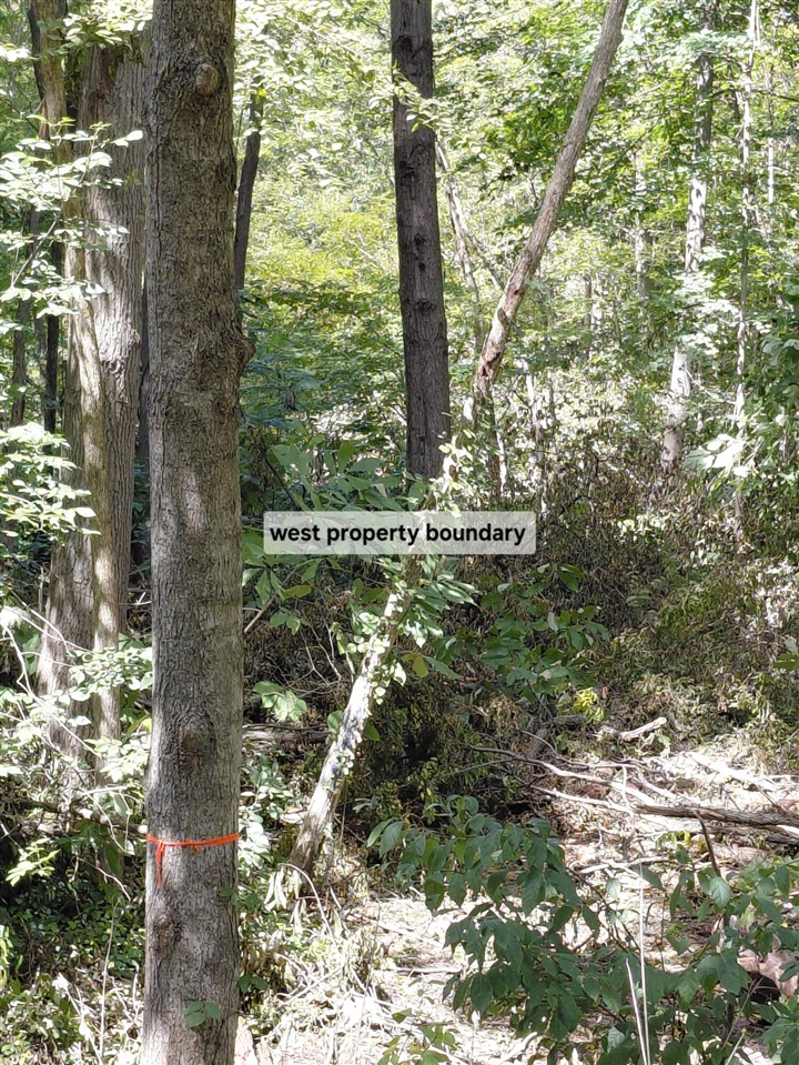 Homes for sale in Vicksburg, MI | 9437 E U V Ave, Vicksburg, MI 49097 | MLS# 70493118