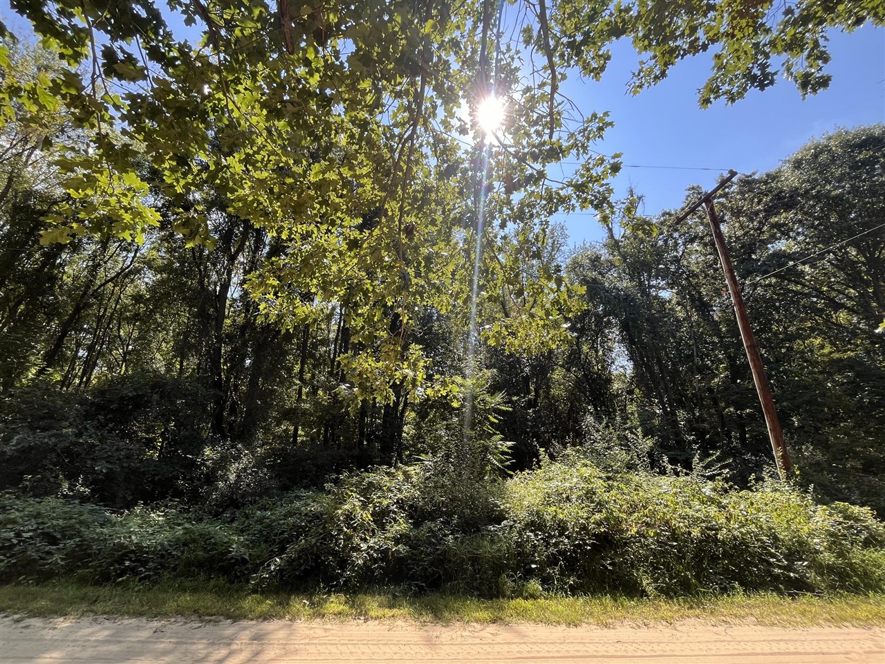 Homes for sale in Grass Lake, MI | Central Dr, Grass Lake, MI 49240 | MLS# 70493143