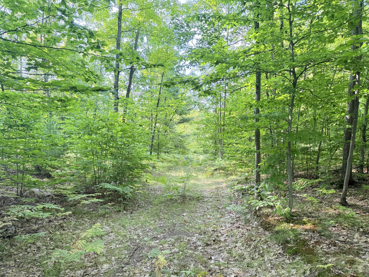 Homes for sale in Luther, MI | Vl 3 Mile Rd, Luther, MI 49656 | MLS# 70493270