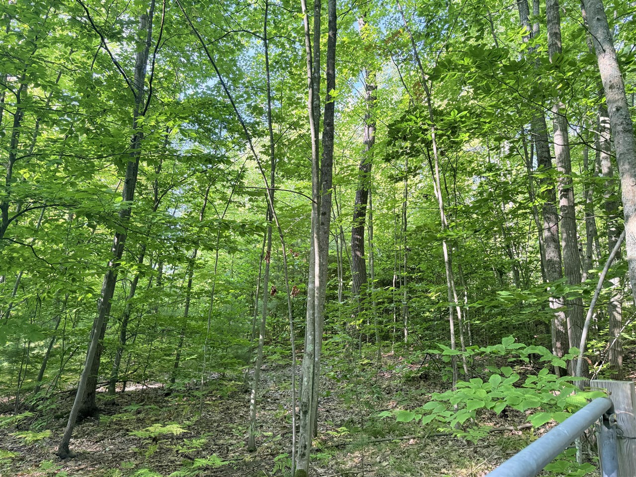 Homes for sale in Luther, MI | Vl 3 Mile Rd, Luther, MI 49656 | MLS# 70493270