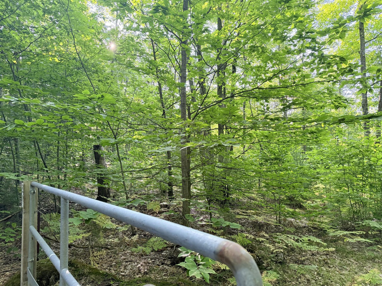 Homes for sale in Luther, MI | Vl 3 Mile Rd, Luther, MI 49656 | MLS# 70493270