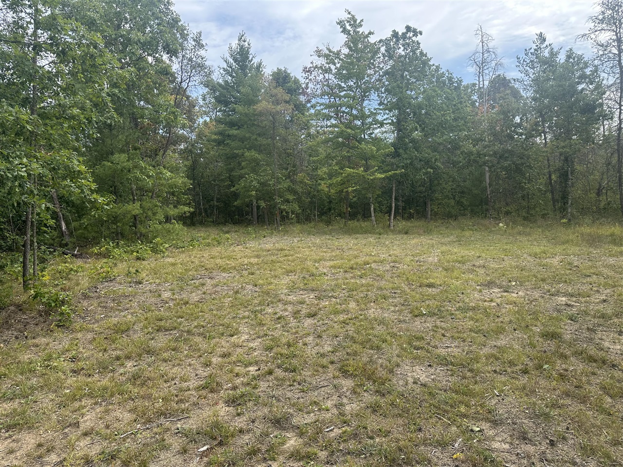 Homes for sale in Idlewild, MI | 00 Spruce Rd, Idlewild, MI 49642 | MLS# 70493308