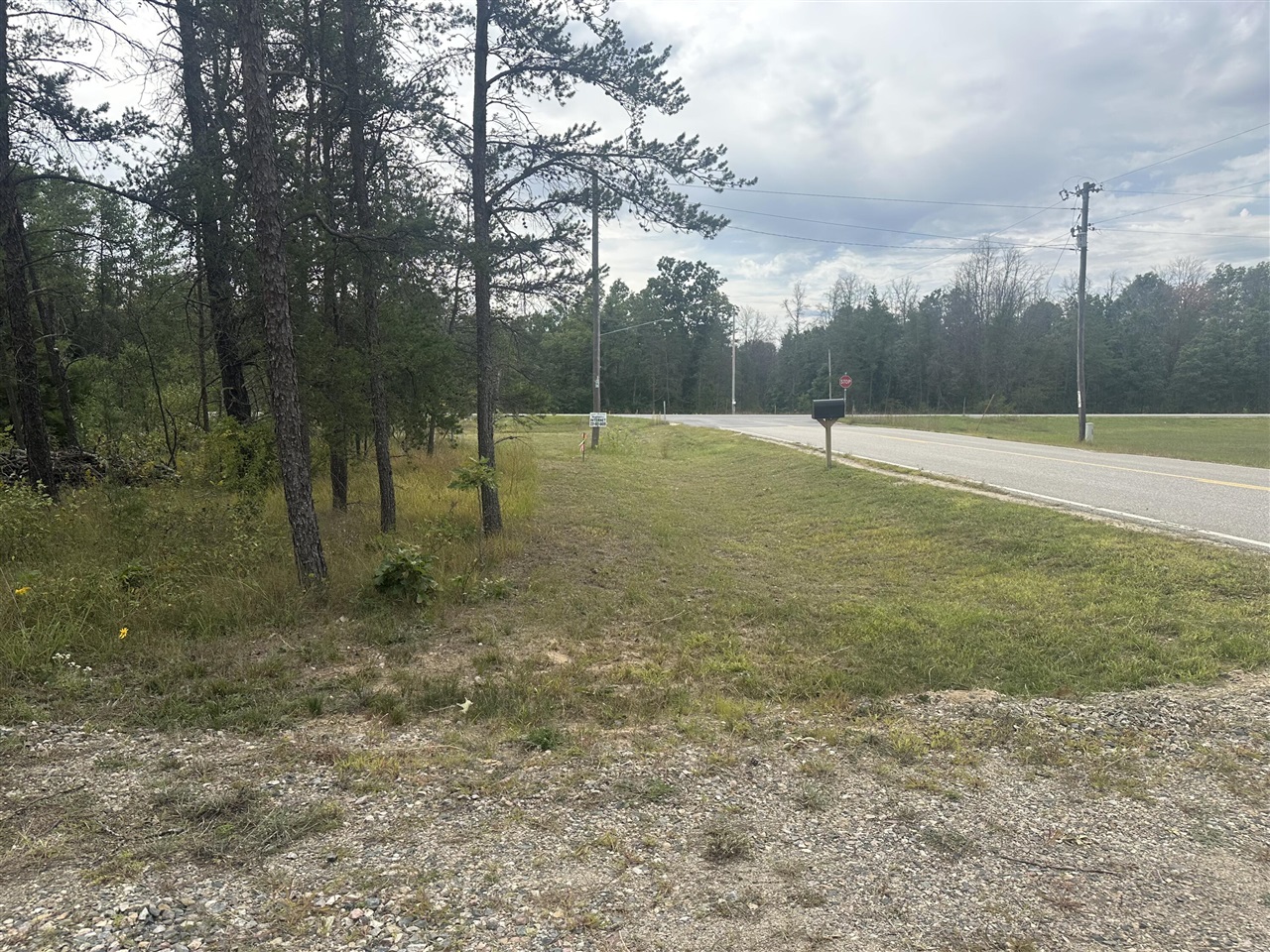 Homes for sale in Idlewild, MI | 00 Spruce Rd, Idlewild, MI 49642 | MLS# 70493308