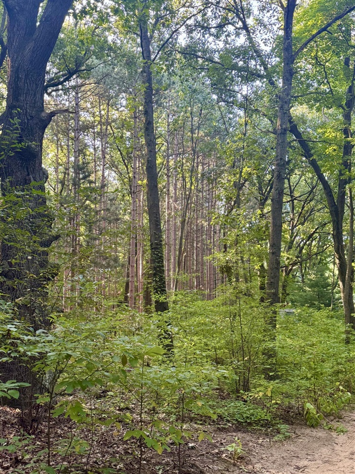 Homes for sale in Kalamazoo, MI | 10791 West Main Street, Kalamazoo, MI 49009 | MLS# 70493655