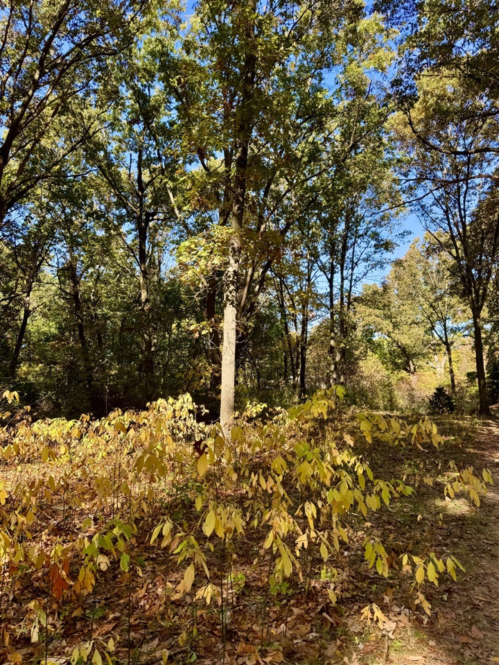 Homes for sale in Kalamazoo, MI | 10791 West Main Street, Kalamazoo, MI 49009 | MLS# 70493655