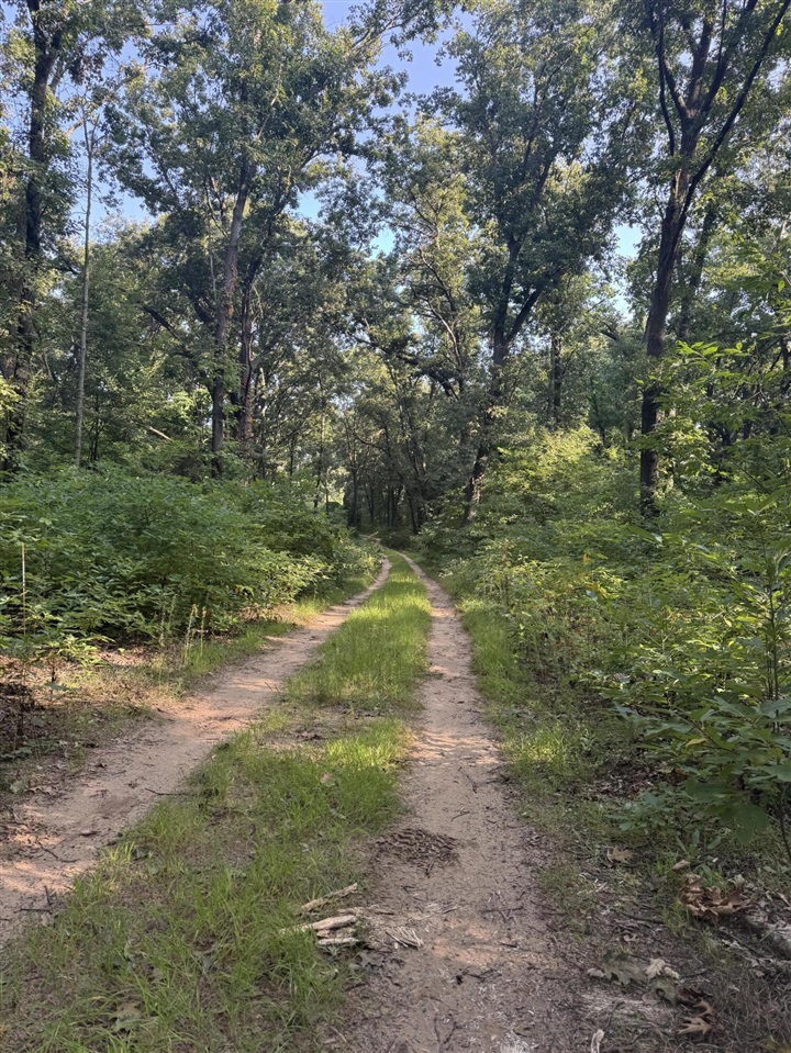 Homes for sale in Kalamazoo, MI | 10791 West Main Street, Kalamazoo, MI 49009 | MLS# 70493655