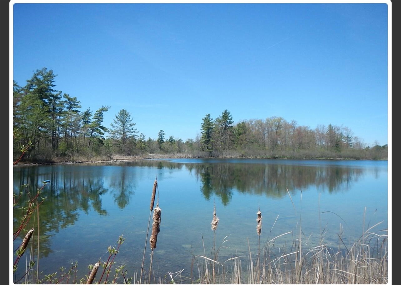 Homes for sale in Greenville, MI | 10345 Morgan Mills Ave, Greenville, MI 48838 | MLS# 70493890