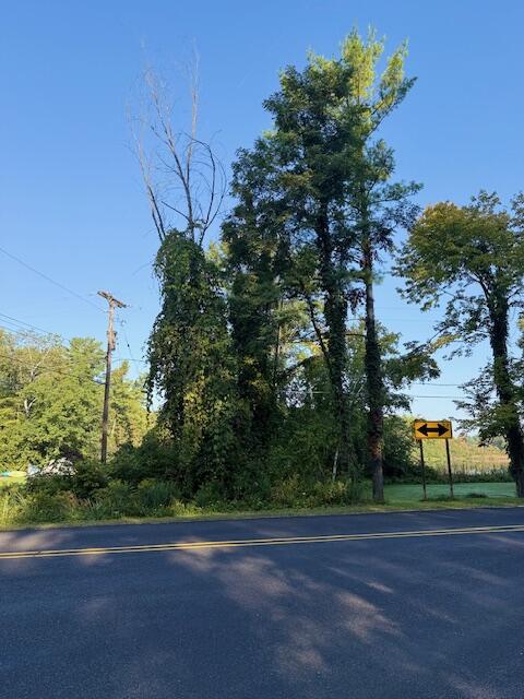 Homes for sale in Greenville, MI | 10345 Morgan Mills Ave, Greenville, MI 48838 | MLS# 70493890