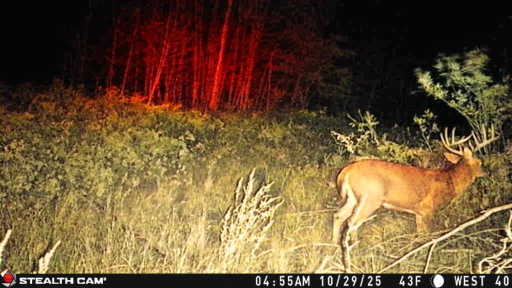 Homes for sale in Au Gres, MI | 1231 Manor Rd, Au Gres, MI 48703 | MLS# 70493914