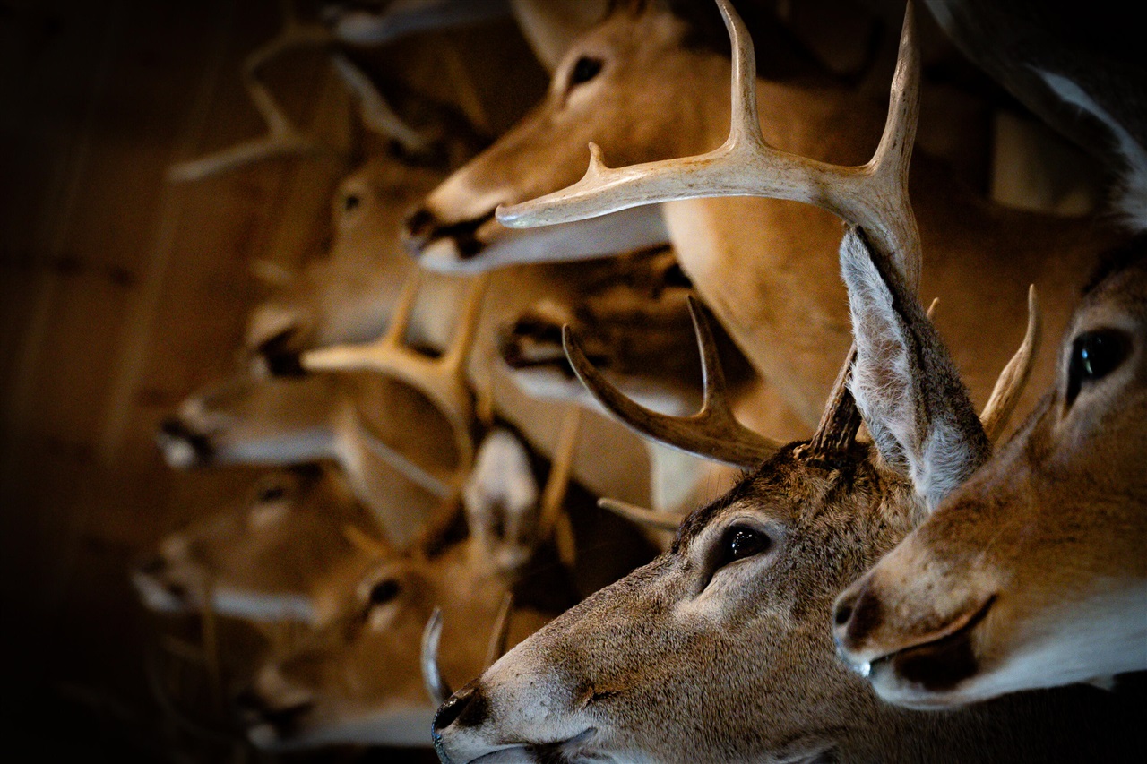 Homes for sale in Au Gres, MI | 1231 Manor Rd, Au Gres, MI 48703 | MLS# 70493914