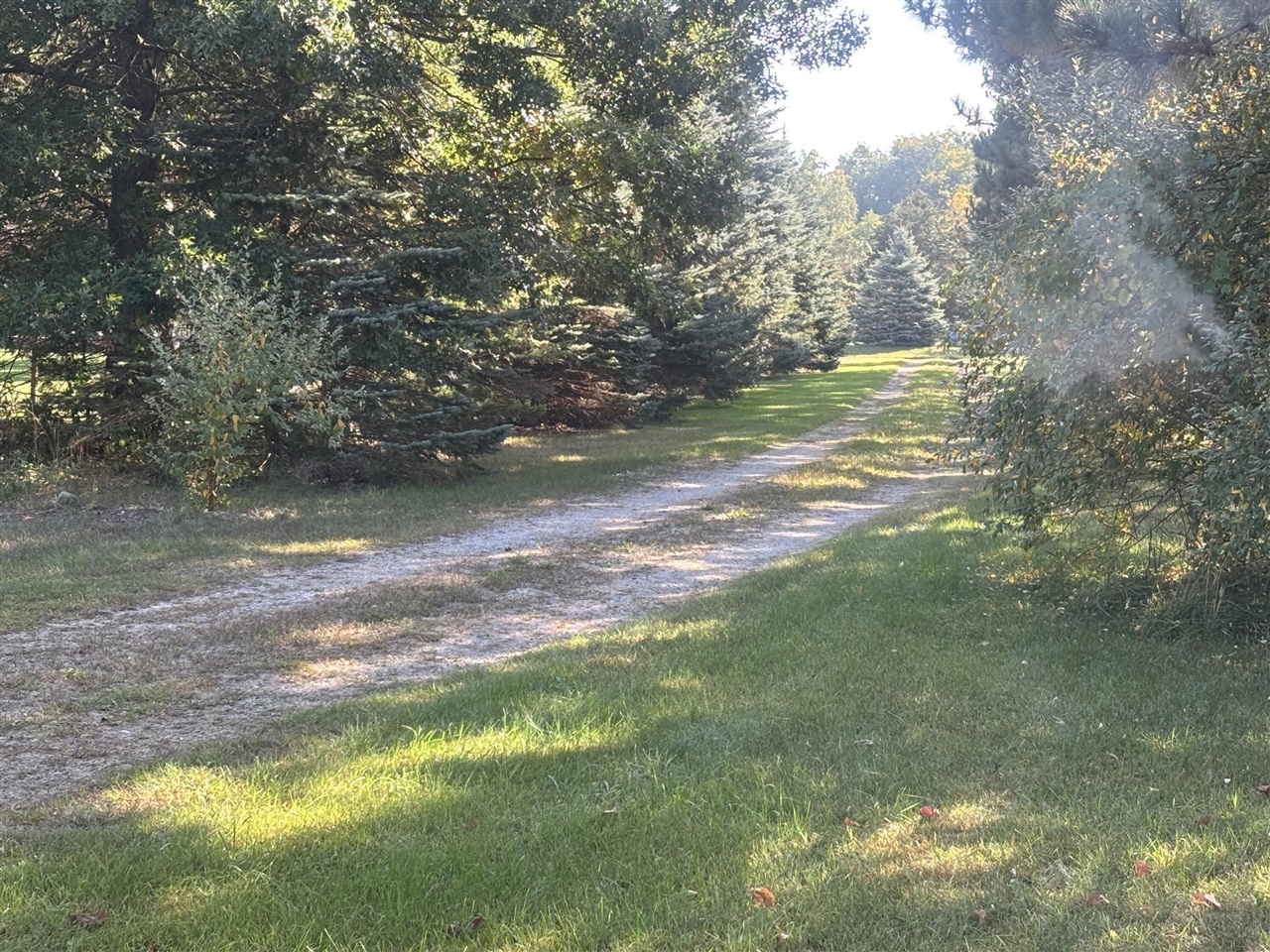 Homes for sale in Lyons, MI | 1170 Somers Rd, Lyons, MI 48851 | MLS# 70494108