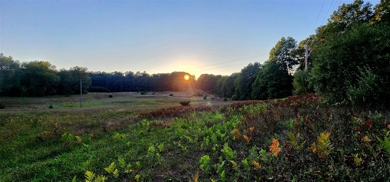 Homes for sale in Shelby, MI | 25vl W Grant Rd, Shelby, MI 49455 | MLS# 70494619