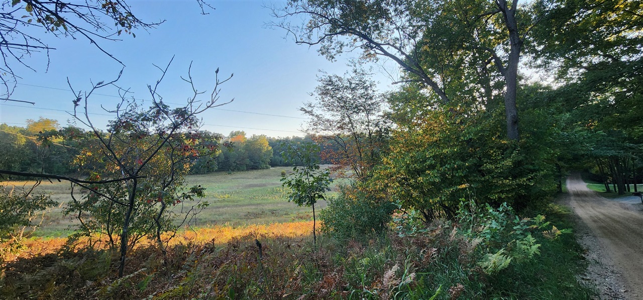 Homes for sale in Shelby, MI | 25Vl W Grant Rd, Shelby, MI 49455 | MLS# 70494619