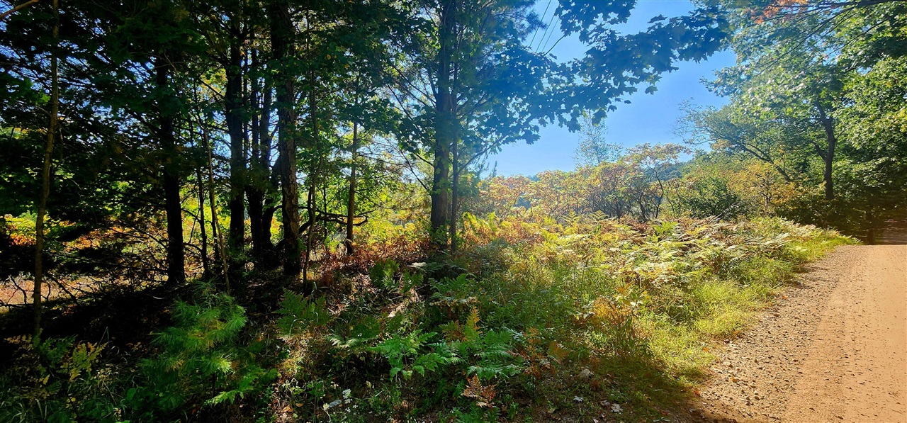 Homes for sale in Shelby, MI | 25Vl W Grant Rd, Shelby, MI 49455 | MLS# 70494619