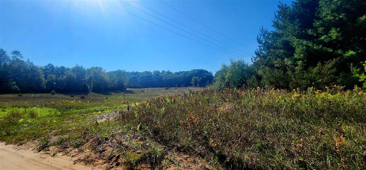 Homes for sale in Shelby, MI | 25Vl W Grant Rd, Shelby, MI 49455 | MLS# 70494619