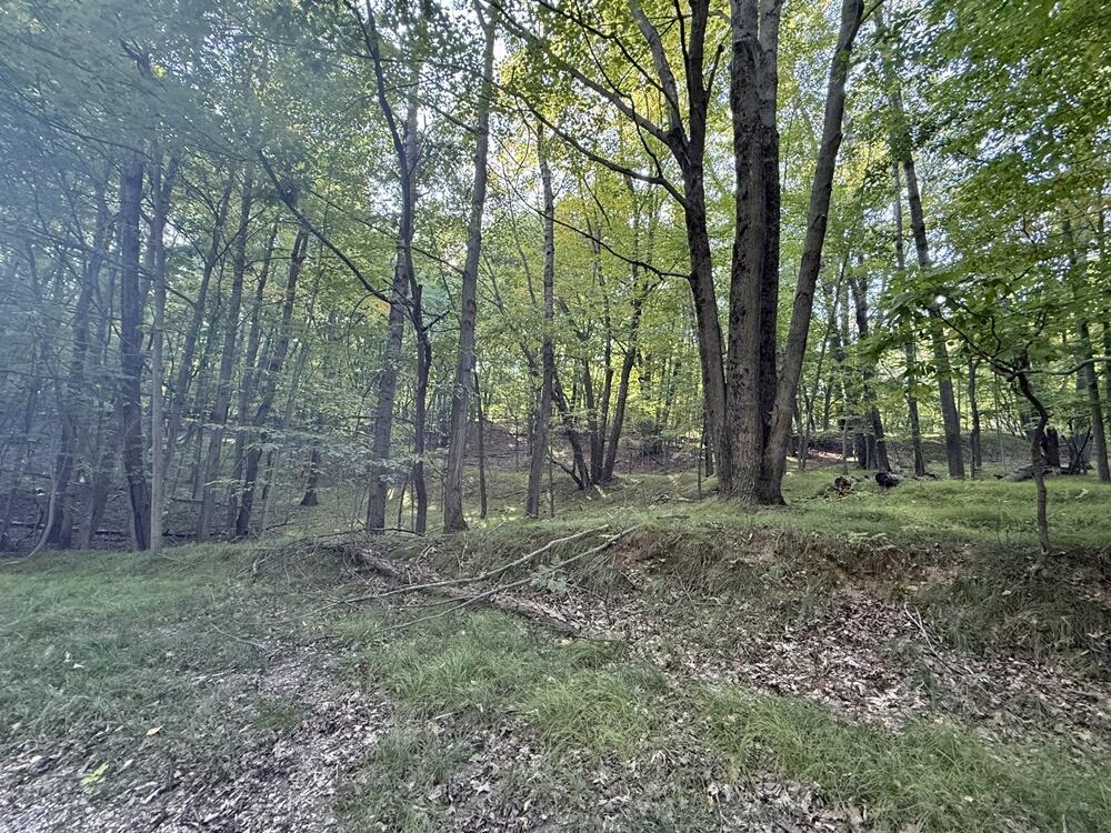 Homes for sale in Stanwood, MI | 10389 Medicine Bow Trl, Stanwood, MI 49346 | MLS# 70494791