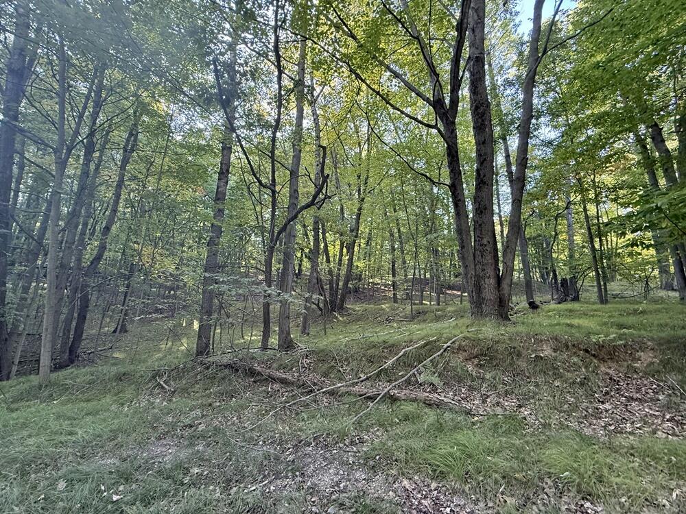 Homes for sale in Stanwood, MI | 10389 Medicine Bow Trl, Stanwood, MI 49346 | MLS# 70494791