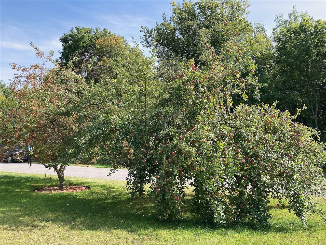 Homes for sale in Edmore, MI | 651 E Forest St, Edmore, MI 48829 | MLS# 70494843