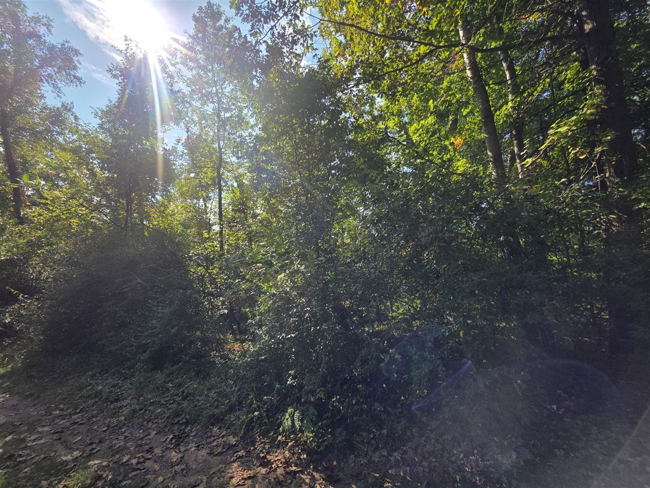 Homes for sale in Stanton, MI | 336 Penny Ln, Stanton, MI 48888 | MLS# 70494856