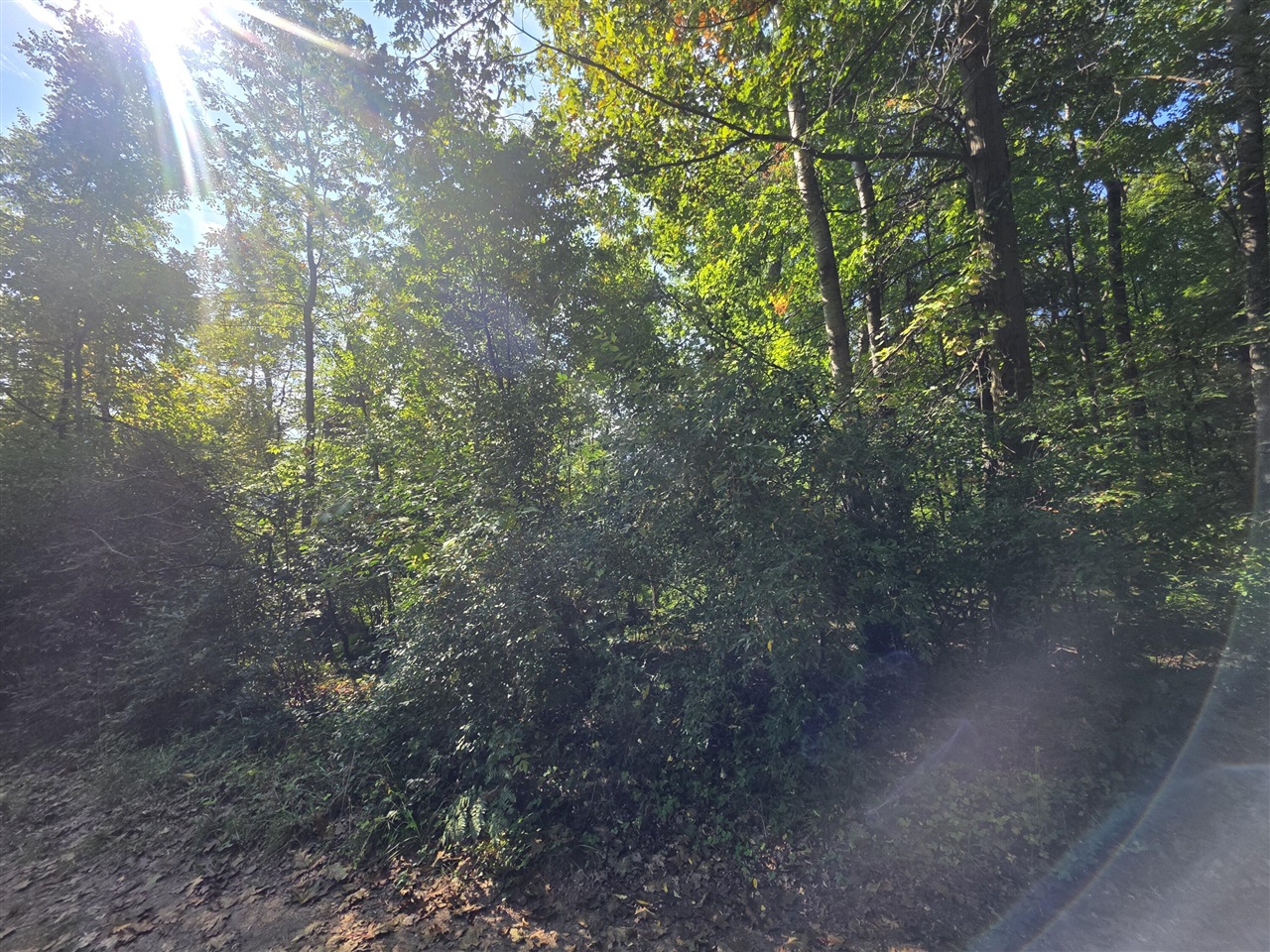 Homes for sale in Stanton, MI | 336 Penny Ln, Stanton, MI 48888 | MLS# 70494856