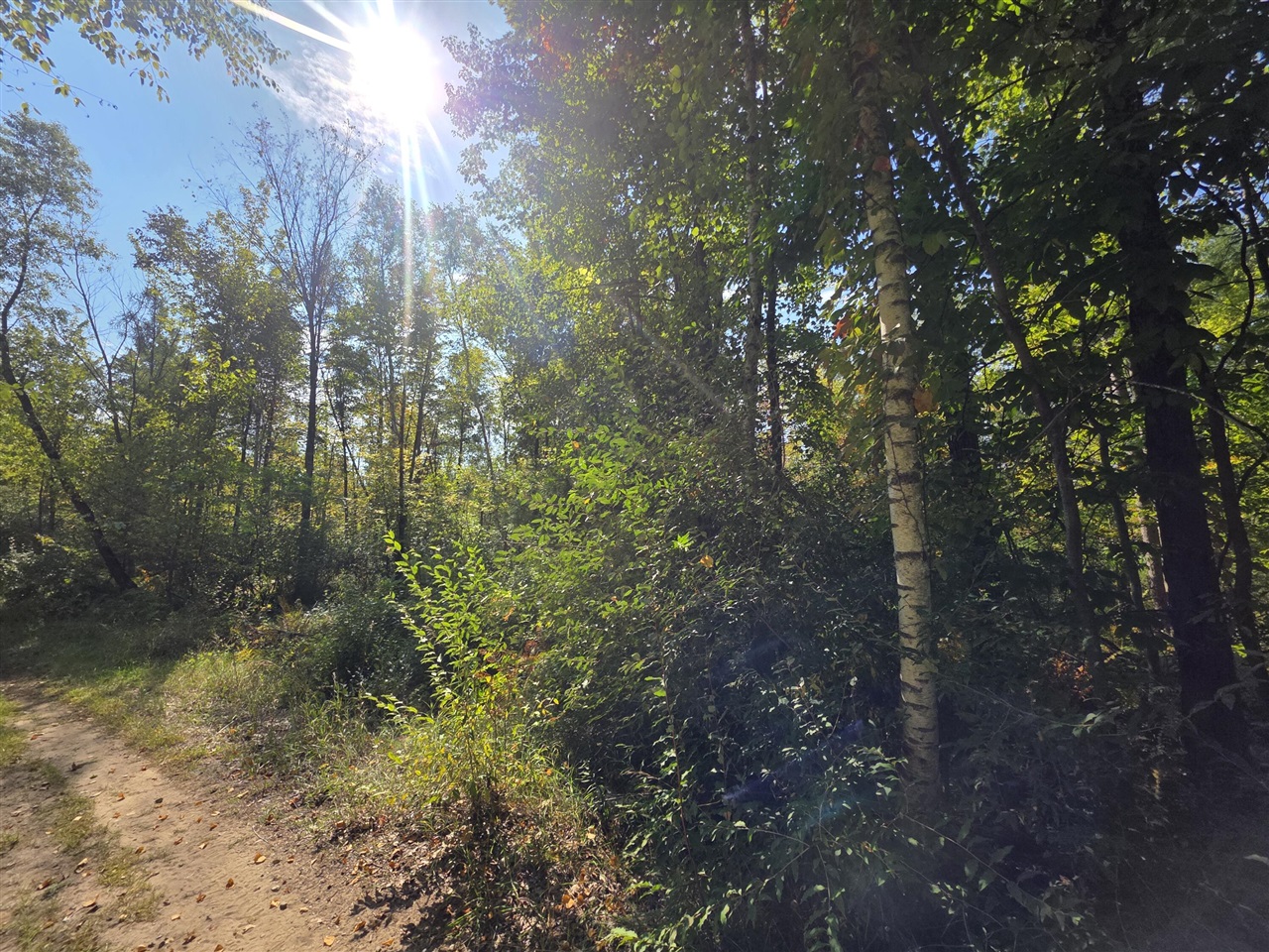 Homes for sale in Stanton, MI | 336 Penny Ln, Stanton, MI 48888 | MLS# 70494856