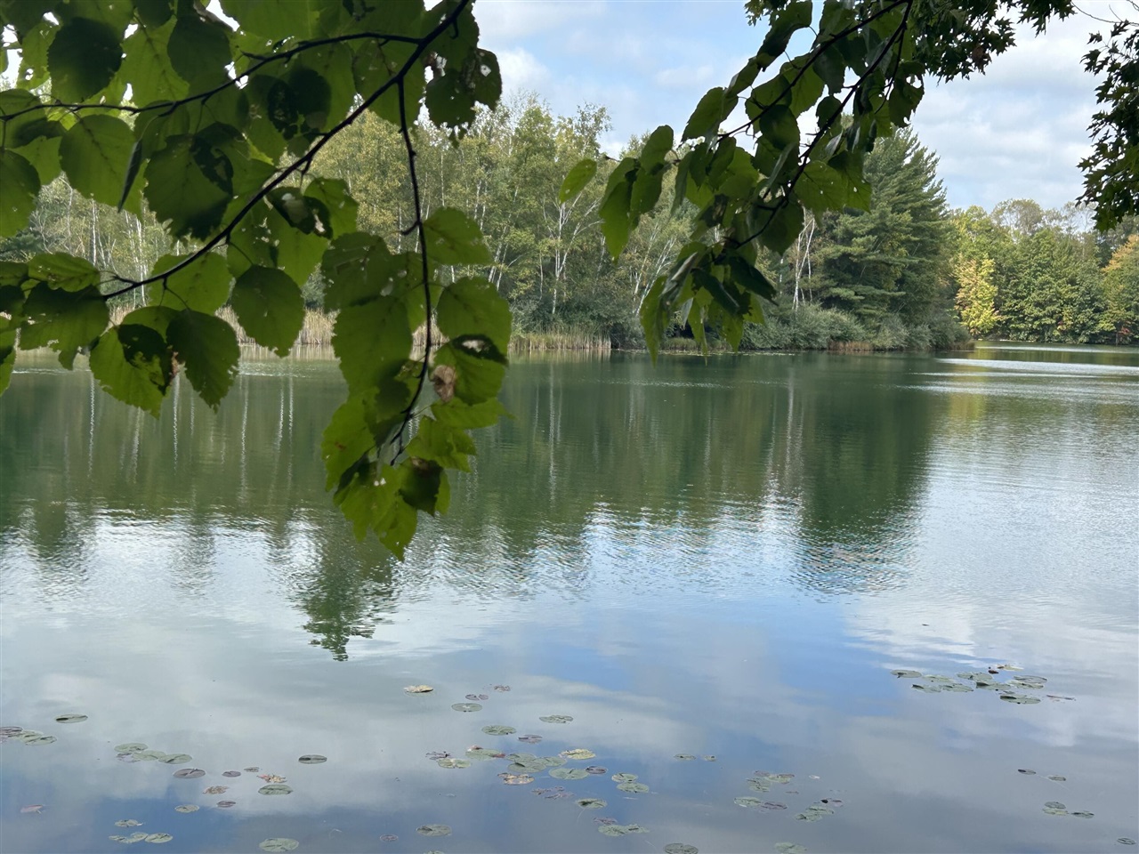 Homes for sale in Canadian Lakes, MI | 8601 N Island Dr, Canadian Lakes, MI 49346 | MLS# 70495206