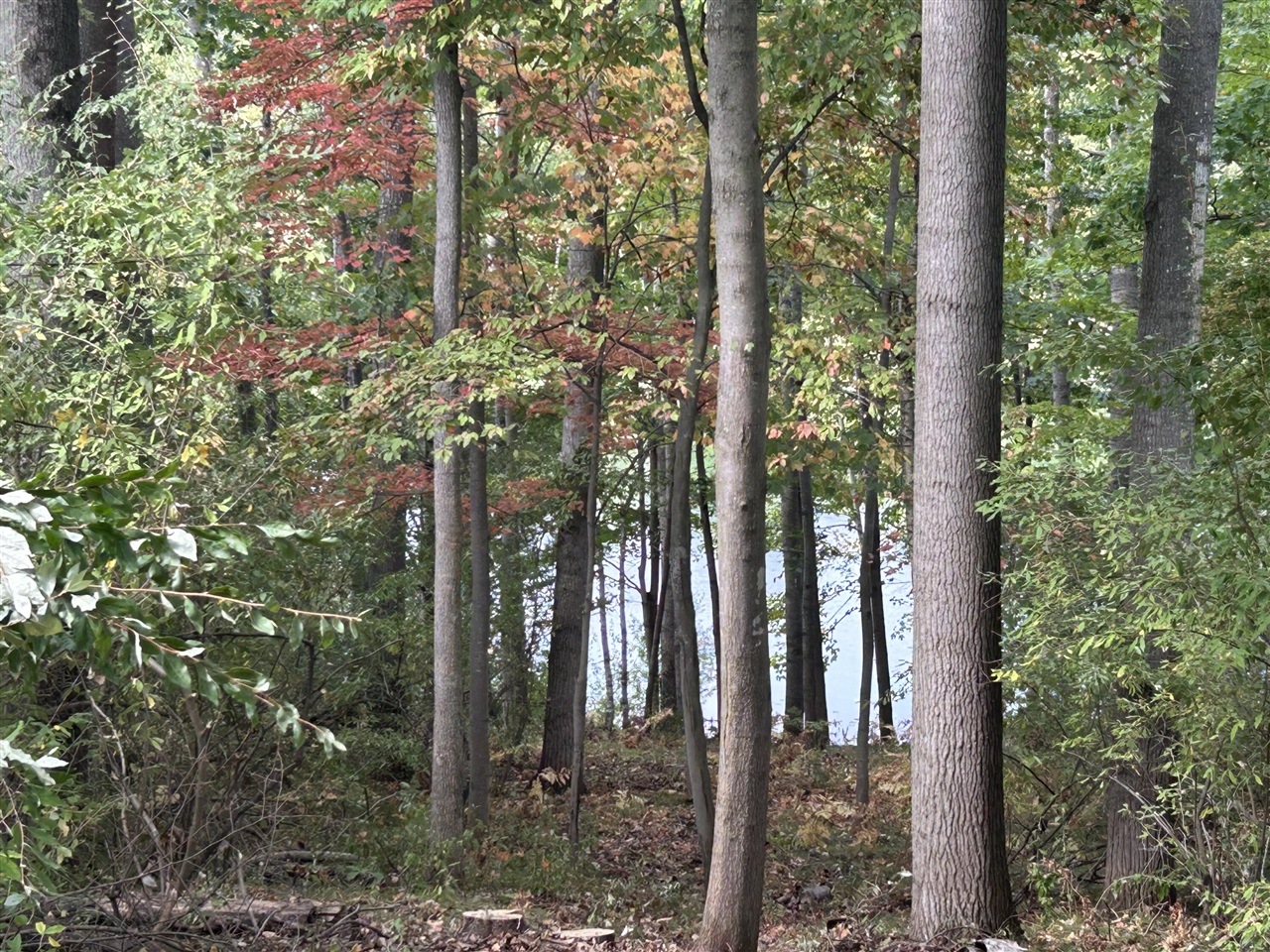 Homes for sale in Canadian Lakes, MI | 8601 N Island Dr, Canadian Lakes, MI 49346 | MLS# 70495206