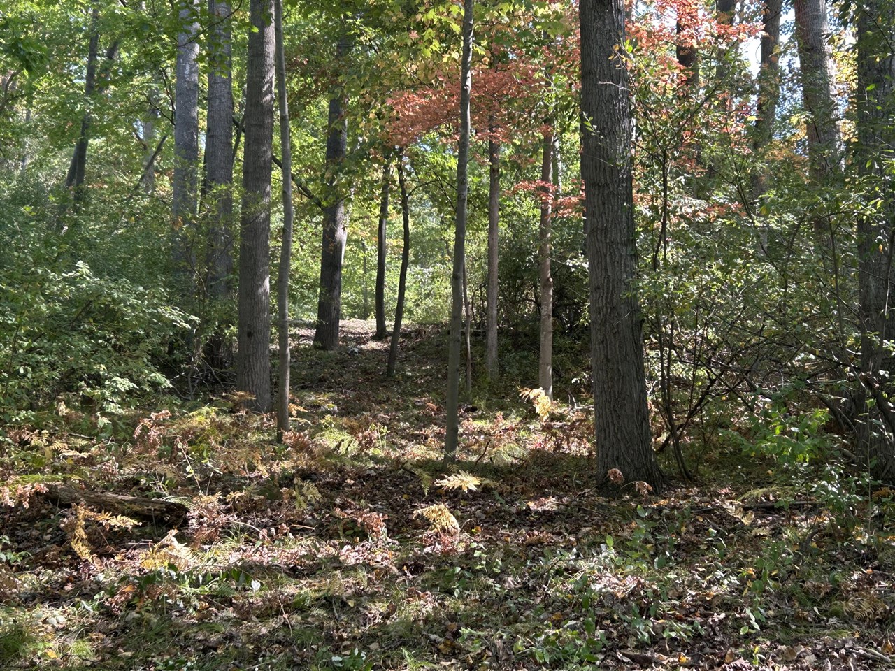 Homes for sale in Canadian Lakes, MI | 8601 N Island Dr, Canadian Lakes, MI 49346 | MLS# 70495206