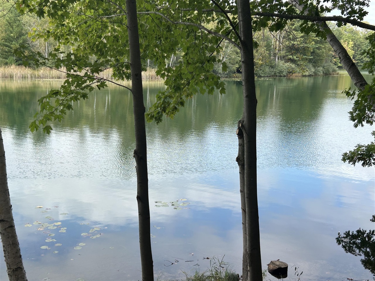 Homes for sale in Canadian Lakes, MI | 8601 N Island Dr, Canadian Lakes, MI 49346 | MLS# 70495206